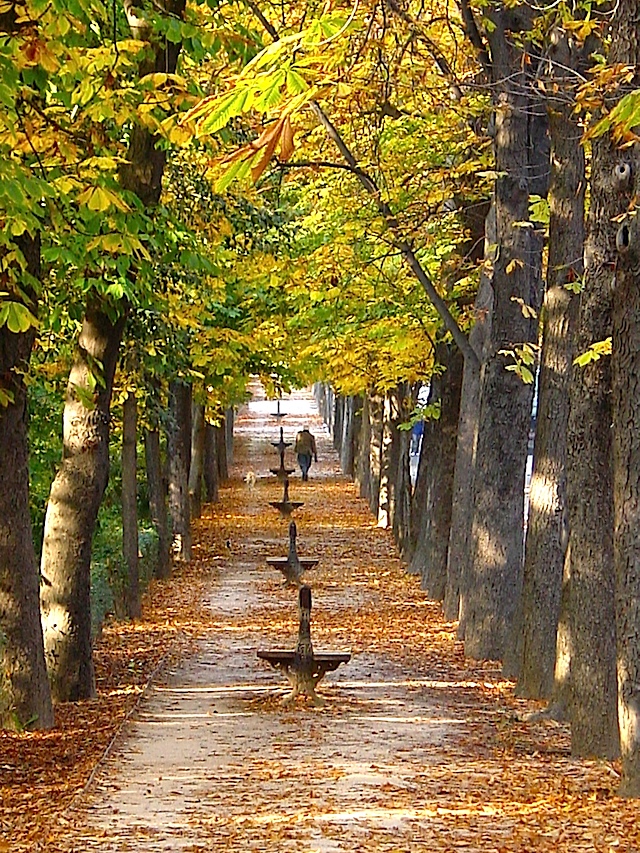 Parque del Retiro