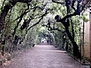 Giardino di Boboli