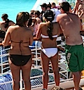 There were a variety of asses on the ship