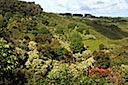 Views from the Road to Hana