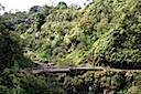 The Road to Hana