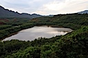 Rainbow Trout Pond